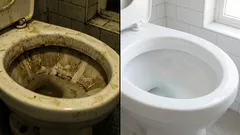 Žiadny zápach z kanalizácie alebo moču: tipy na elimináciu zápachu v kúpeľni za päť minút