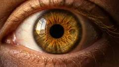 Prečo sa farba očí mení podľa svetla a nie je to len ilúzia