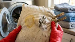 Ako prať perový vankúš v práčke, aby bol zasa nadýchaný a bez zápachu